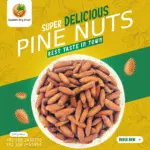 Golden Dry Fruit Pine Nuts – Premium Chilghozay in Pakistan – Fresh, Soft, and Hygienically Packed