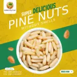 Golden Dry Fruit pine nuts without shell – chihle hoi fresh chilghozay for online delivery in Pakistan