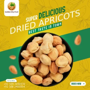 Platinum Class Dried Apricots (Khushk Khubani) by Golden Dry Fruit – Soft, Sweet, Hygienic & Fresh, Delivered Across Pakistan