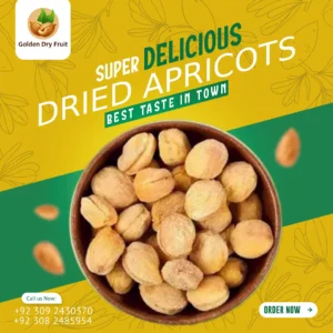Golden Dry Fruit Dried Apricots Classic Pack – Fresh, Tasty & Affordable Khushk Khubani for Daily Use in Pakistan