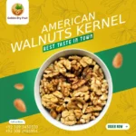 Fresh and premium American Walnuts Kernel (Akhrot Giri) by Golden Dry Fruit – rich in omega-3 and essential nutrients