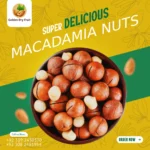 Premium macadamia nuts by Golden Dry Fruit – chabi wala akhrot, healthy, buttery and fresh dry fruits for delivery in Pakistan.
