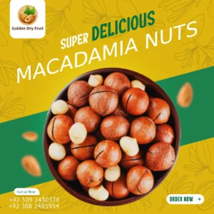 Premium macadamia nuts by Golden Dry Fruit – chabi wala akhrot, healthy, buttery and fresh dry fruits for delivery in Pakistan.